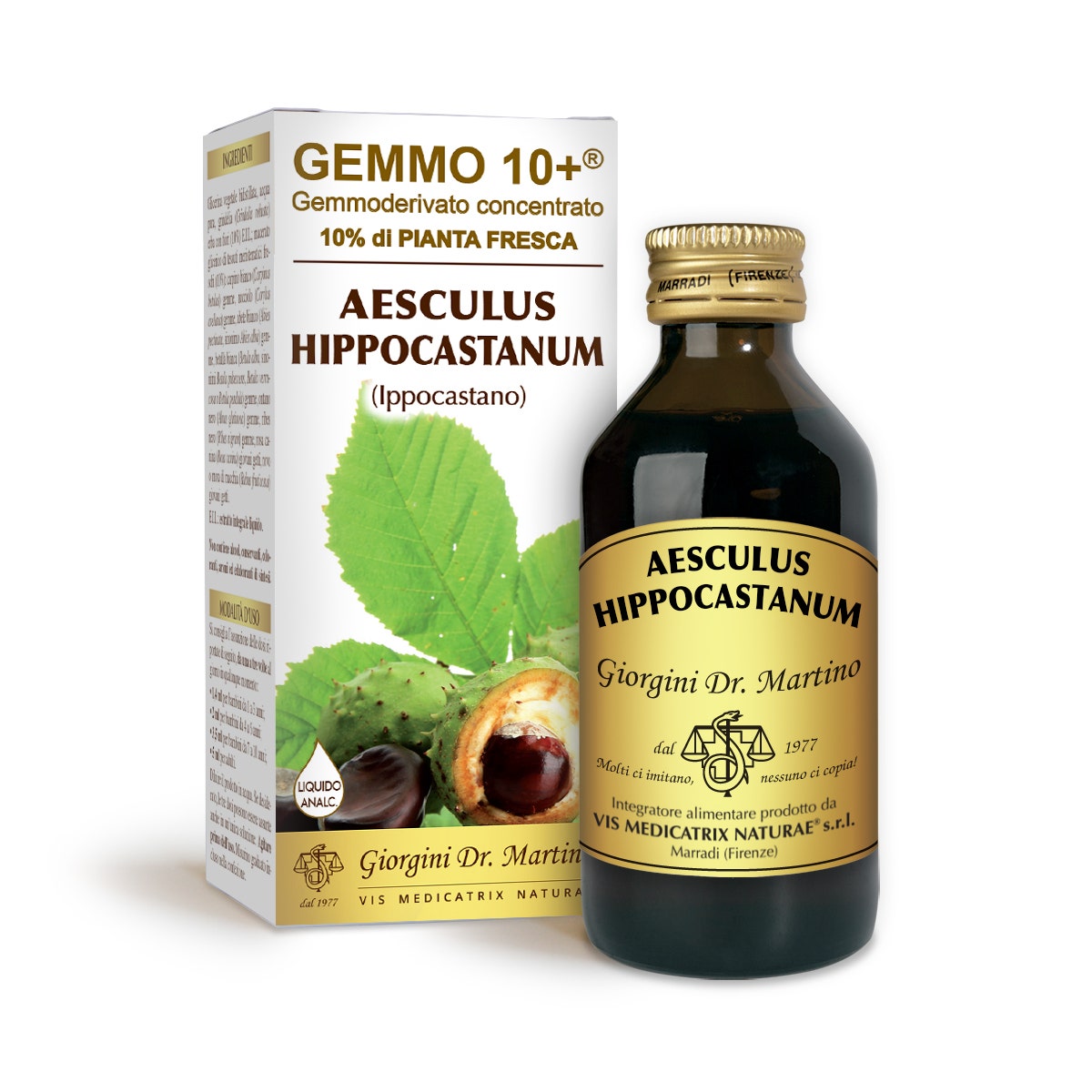 Dr.Giorgini Gemmo+ Ippocastano Liquido Analcolico 100ml-2