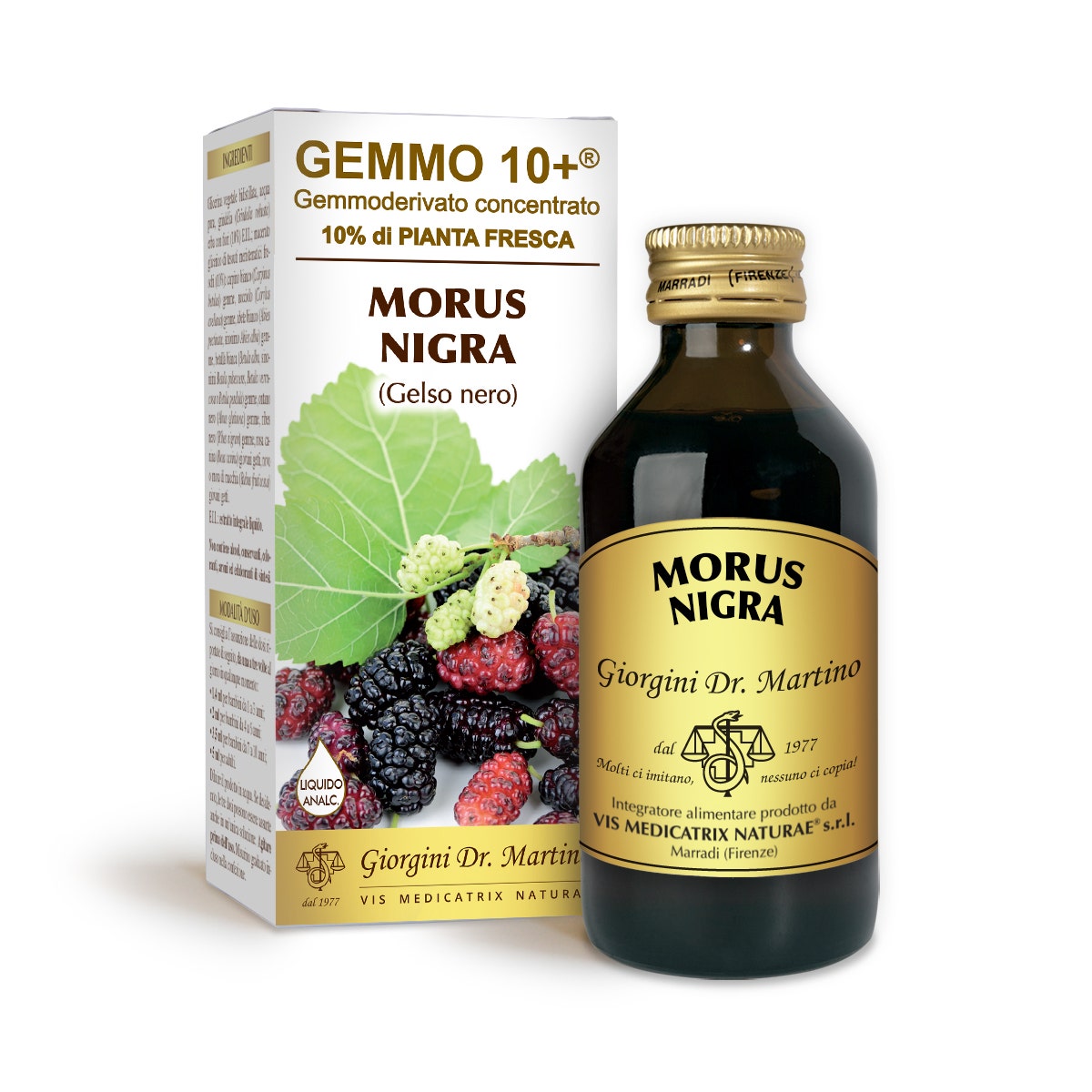 Dr Giorgini G10+ Gelso 15ml-1