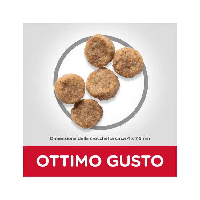 Hill's Science Plan Adult 7+ Anni Crocchette Pollo Per Cani Taglia Mini E Piccola Busta 300g-2