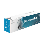 Lactanase Pro Pasta Orale Per Equini Sportivi Siringa 50g