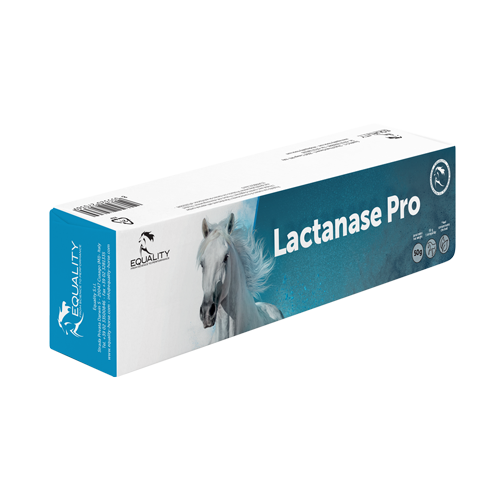 Lactanase Pro Pasta Orale Per Equini Sportivi Siringa 50g