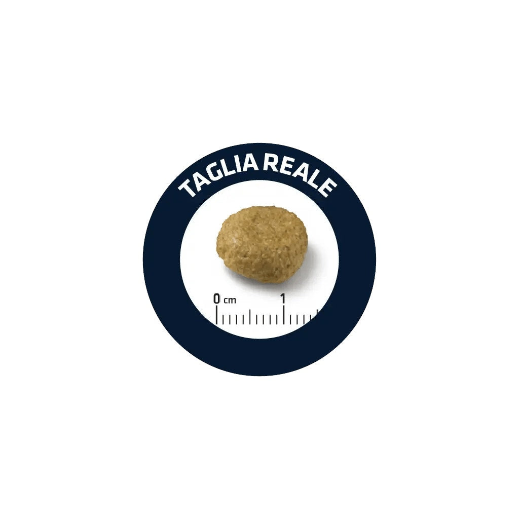 Advance Veterinary Diets Atopic Medium-Maxi Crocchette Per Cani Taglia Media/Maxi Sacco 12kg-2