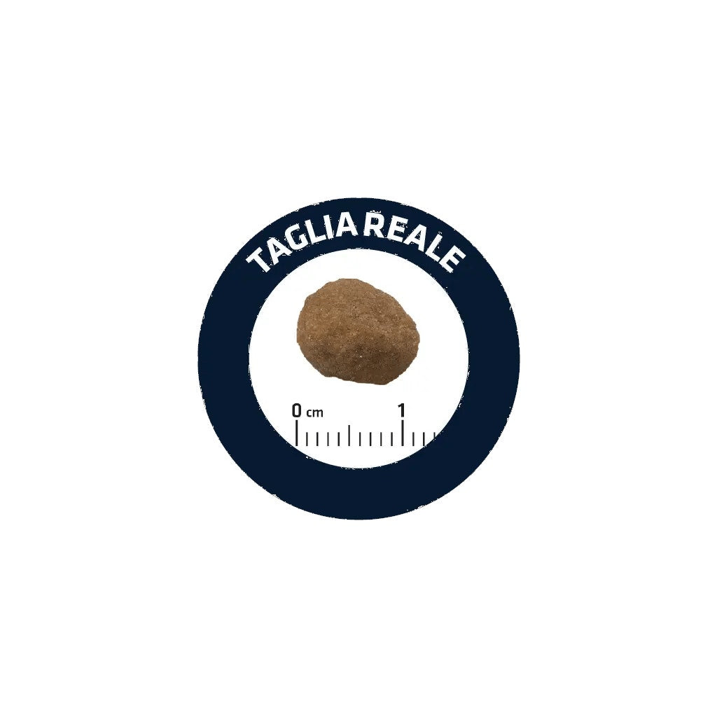 Advance Adult Crocchette Pollo E Riso Per Gatti Adulti 1-10 Anni Sacco 1,5kg-2