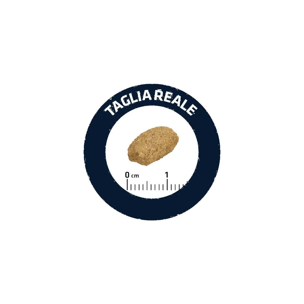 Advance Sterilised Adult Crocchette Tacchino E Orzo Per Gatti Adulti 1-10 Anni Sacco 1,5kg-2