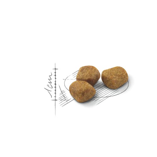 Royal Canin Feline Home Life Indoor 7+ Anni Crocchette Per Gatti Senior Sacco 1,5kg-2