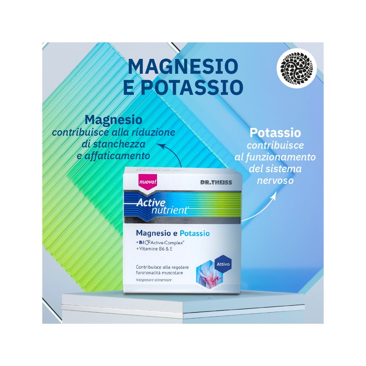 Dr Theiss Active Nutrient Magnesio/Potassio 20 Bustine-4