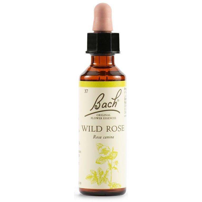 Fiori di Bach Wild Rose Bach Original 20ml  - 2