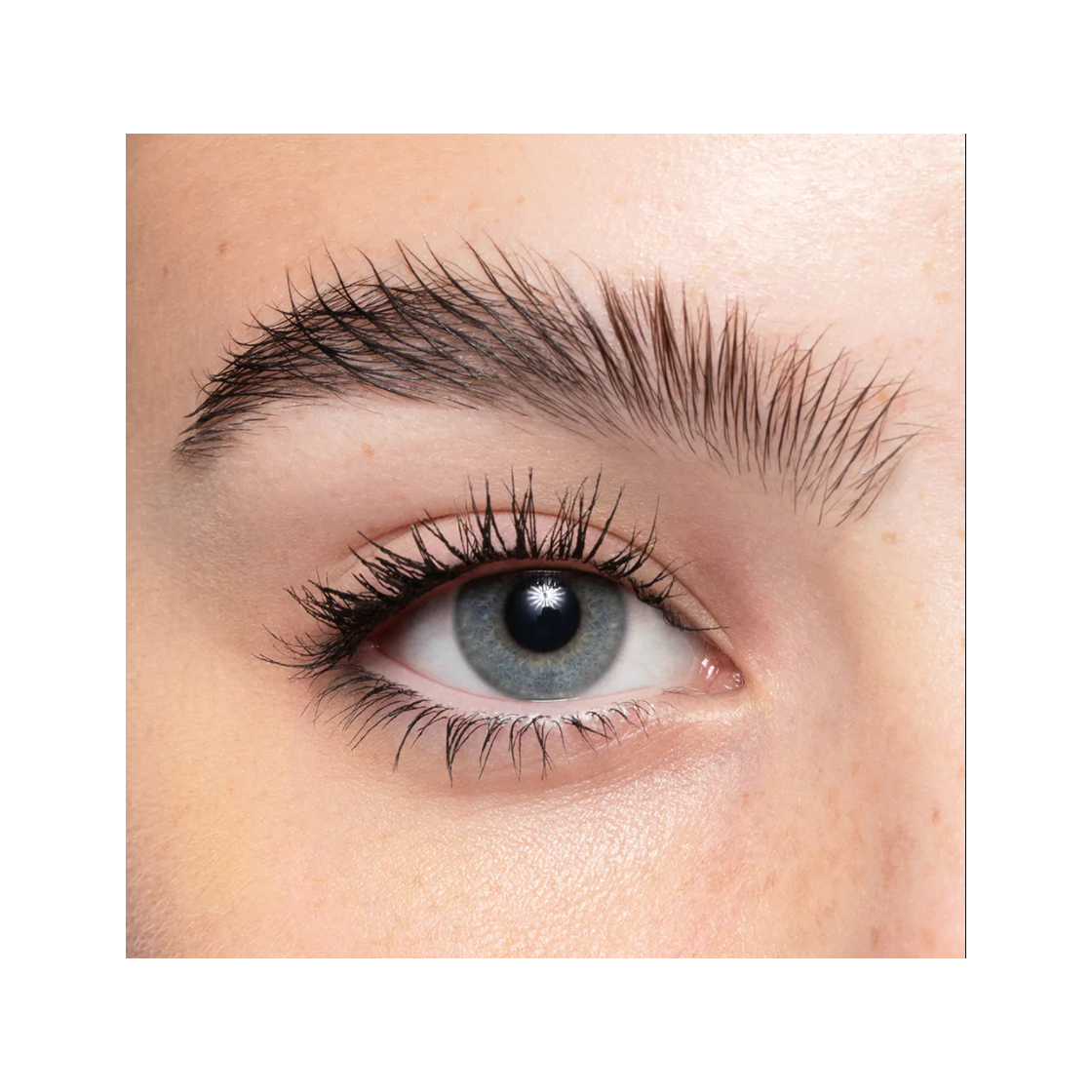 Purobio Mascara Swipe Up Incurvante-2