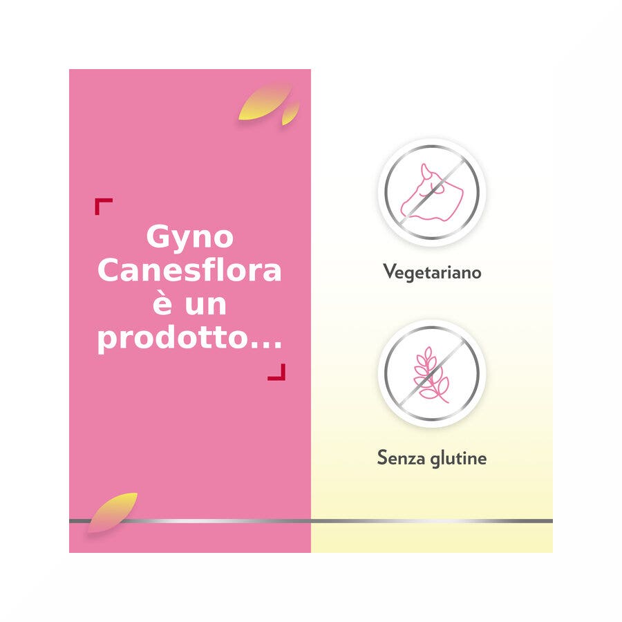 Gyno Canesflora probiotico con vitamina B2 per benessere Intimo e Flora Vaginale Equilibrata 30 cps-7