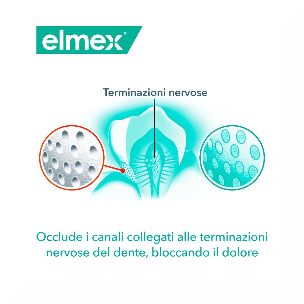 Elmex Dentifricio Sensitive Professional Ripara E Previene 75ml-9