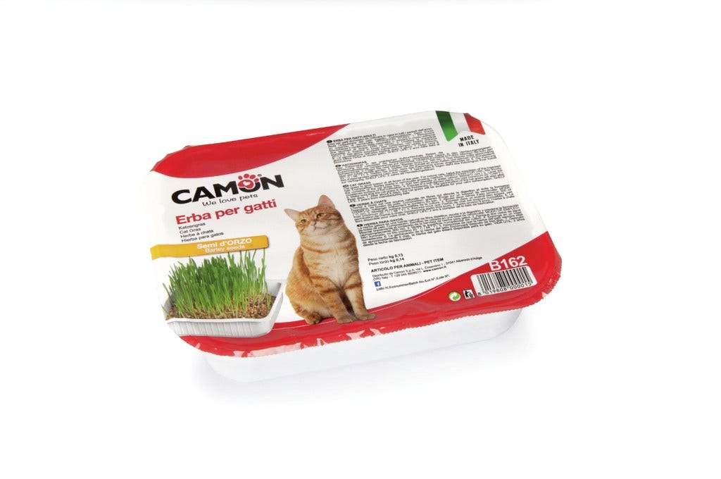 Camon Erba Per Gatti con Semi Di Orzo-2