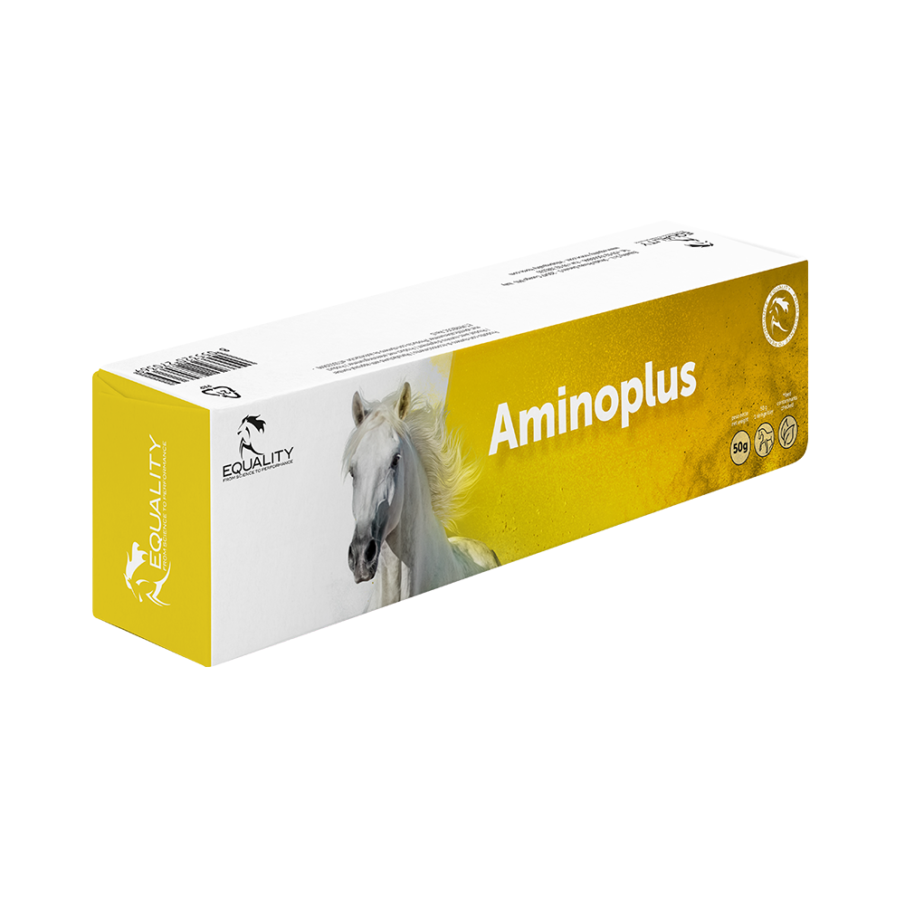 Aminoplus Siringa Pasta Via Orale Potenza Muscolare Per Equini 50g