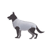 Camon Tutina Post-Operatoria Per Cani Taglia 55-1