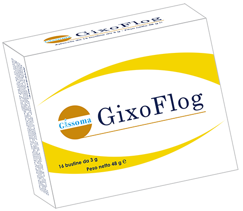 Gixoflog 16 Bustine-1
