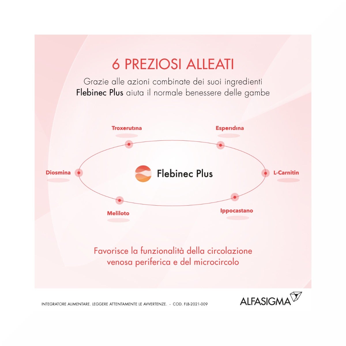 Flebinec Plus 14 Buste-9