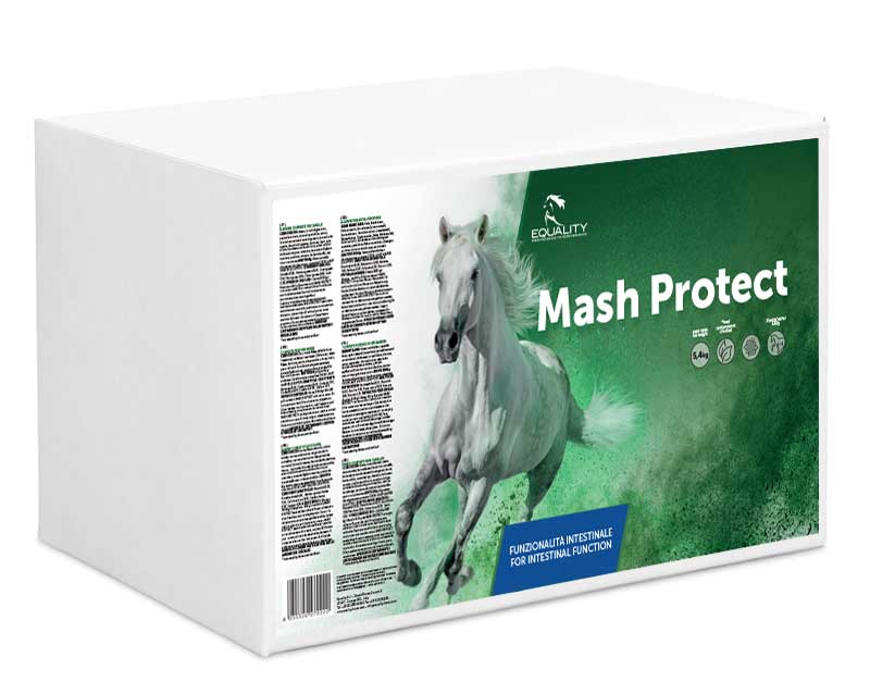 Equality Mash Protect 9 Buste da 600gr