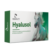 Hyalusol Aerosol Ambientale Per Equini 10 Flaconi Monodose Da 8ml