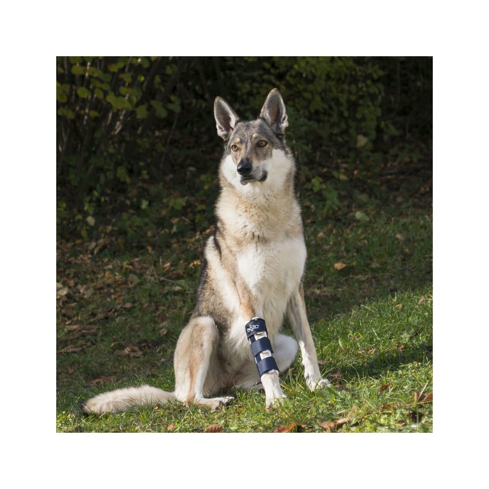 Balto BT Bone Tutore per Fratture della Zampa Anteriore Taglia S-2