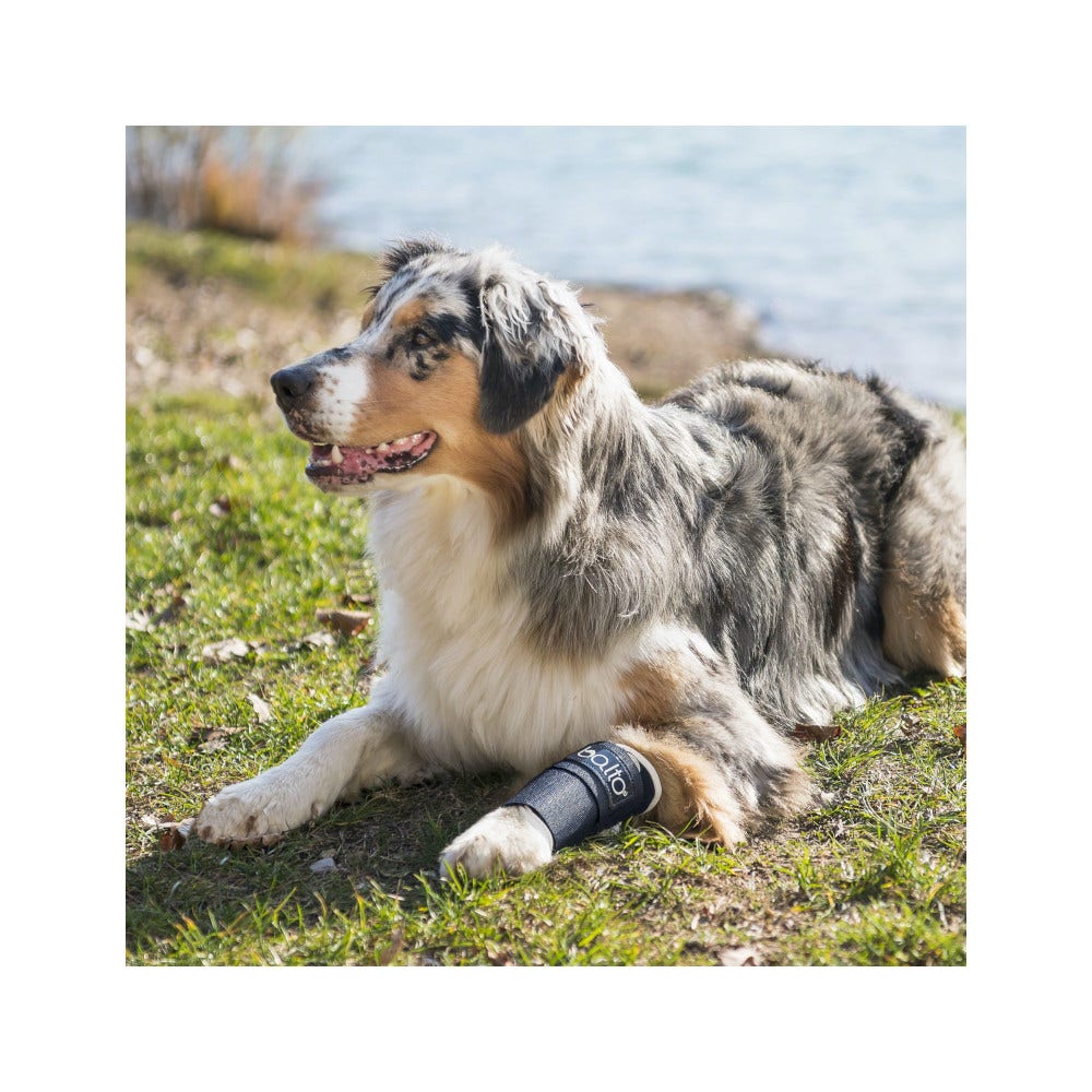Balto BT Joint Tutore del Carpo Taglia L-2