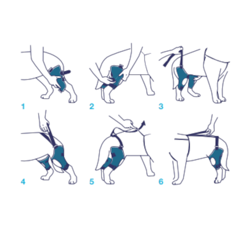 Balto BT Jump Plus Tutore Doppio per Ginocchio Taglia M-4