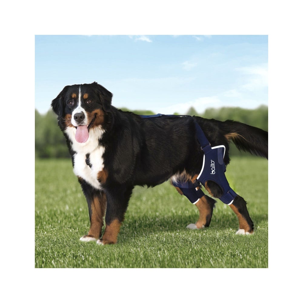 Balto BT Jump Plus Tutore Doppio per Ginocchio Taglia L-2