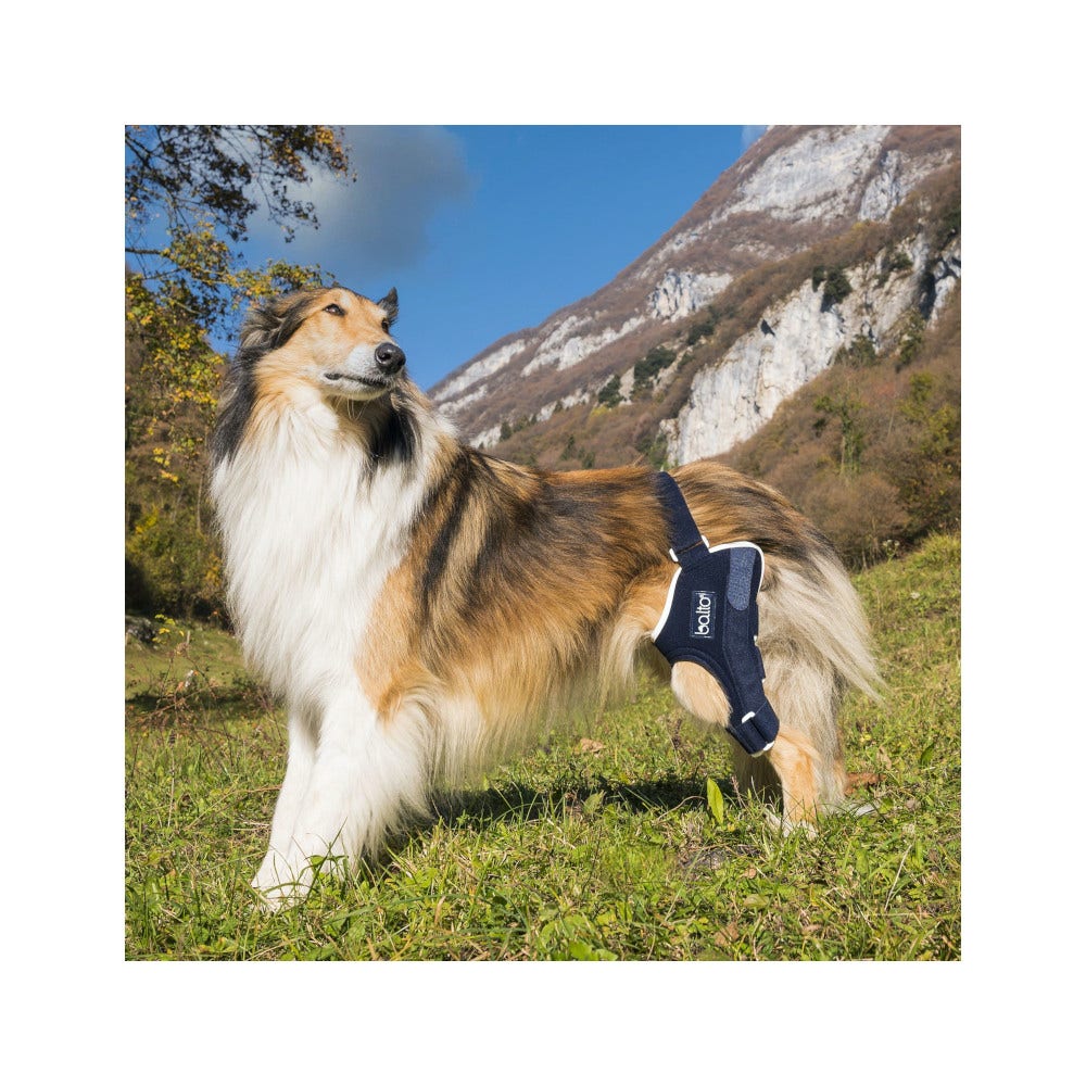 Balto BT Jump Tutore Ginocchio Sinistro Taglia L-2