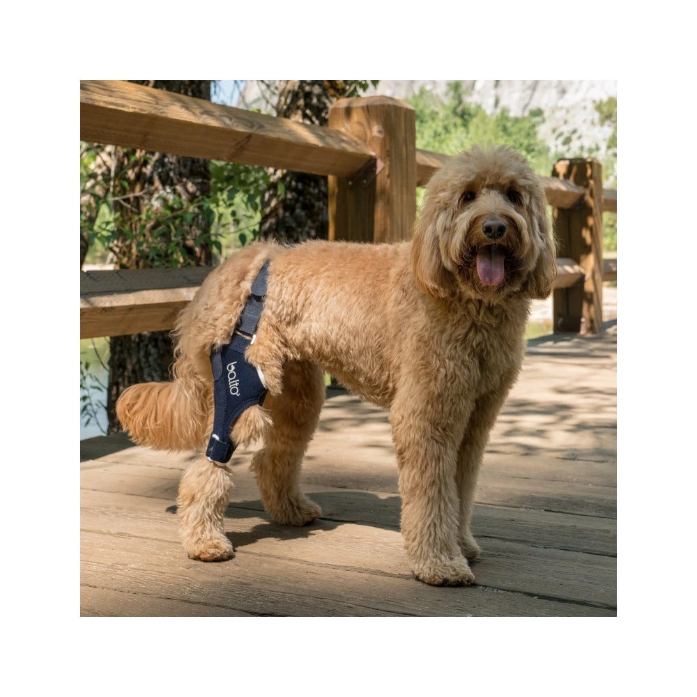 Balto BT Jump Tutore Ginocchio Destro Taglia S-2