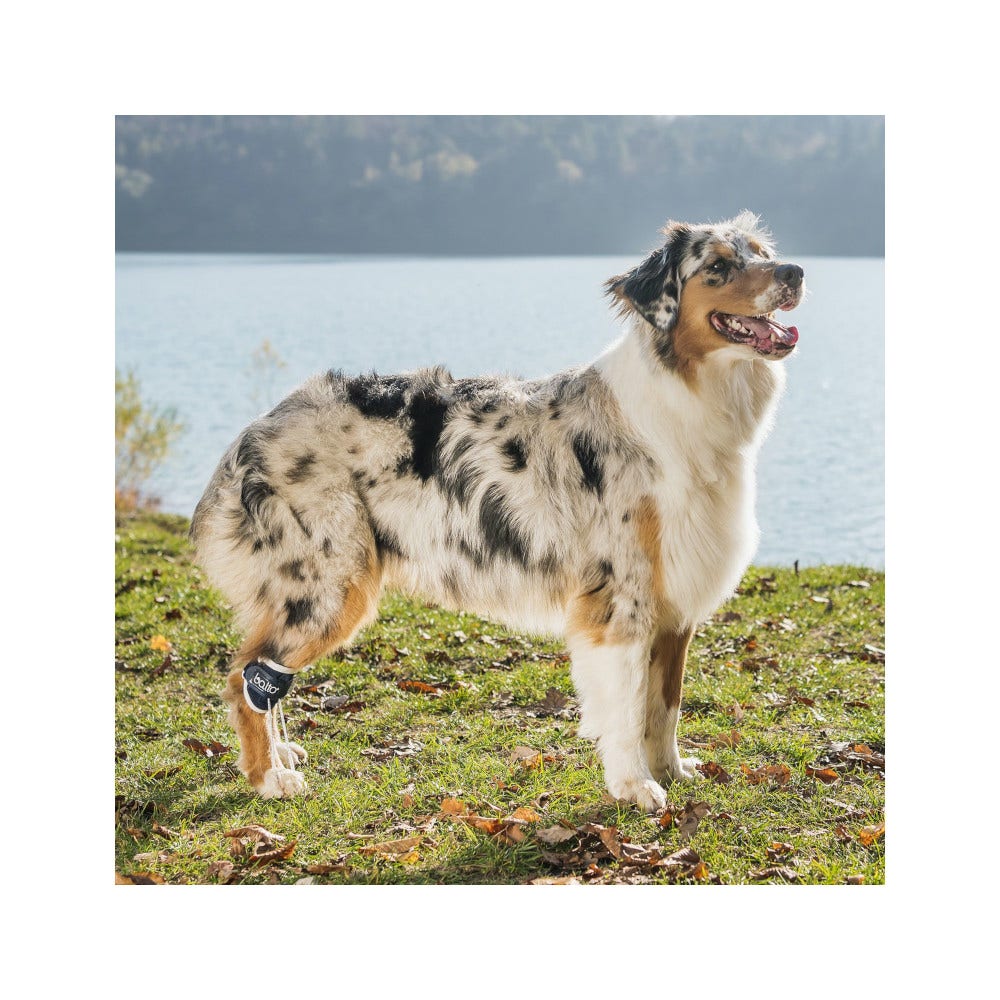 Balto BT Pull Tutore Per Iperflessione Delle Falangi Taglia XS-2