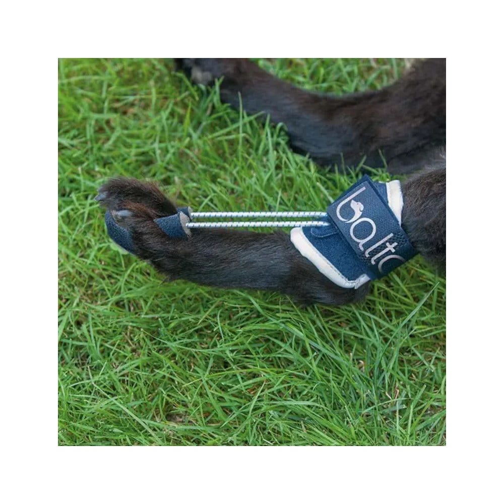 Balto BT Pull Tutore Per Iperflessione Delle Falangi Taglia L-3