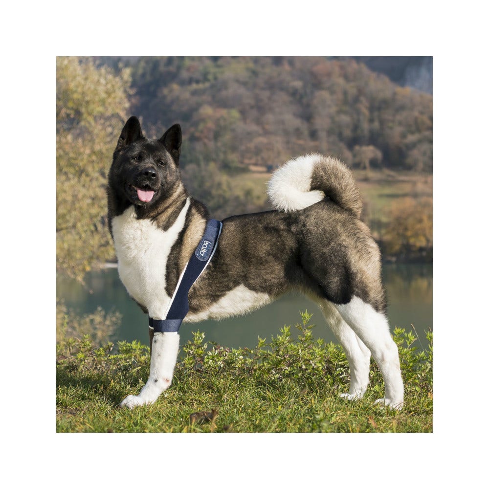 Balto BT Soft Plus Tutore per Gomito Doppio Taglia M-2