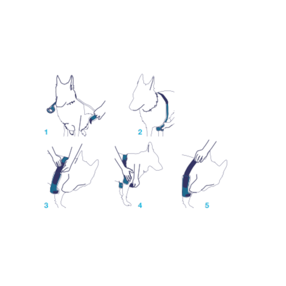 Balto BT Soft Plus Tutore per Gomito Doppio Taglia M-3