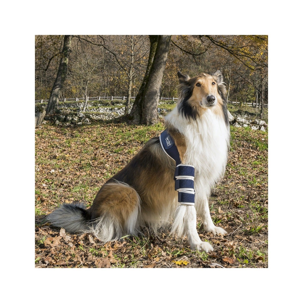 Balto BT Soft Tutore per Gomito Sinistro Taglia M-2