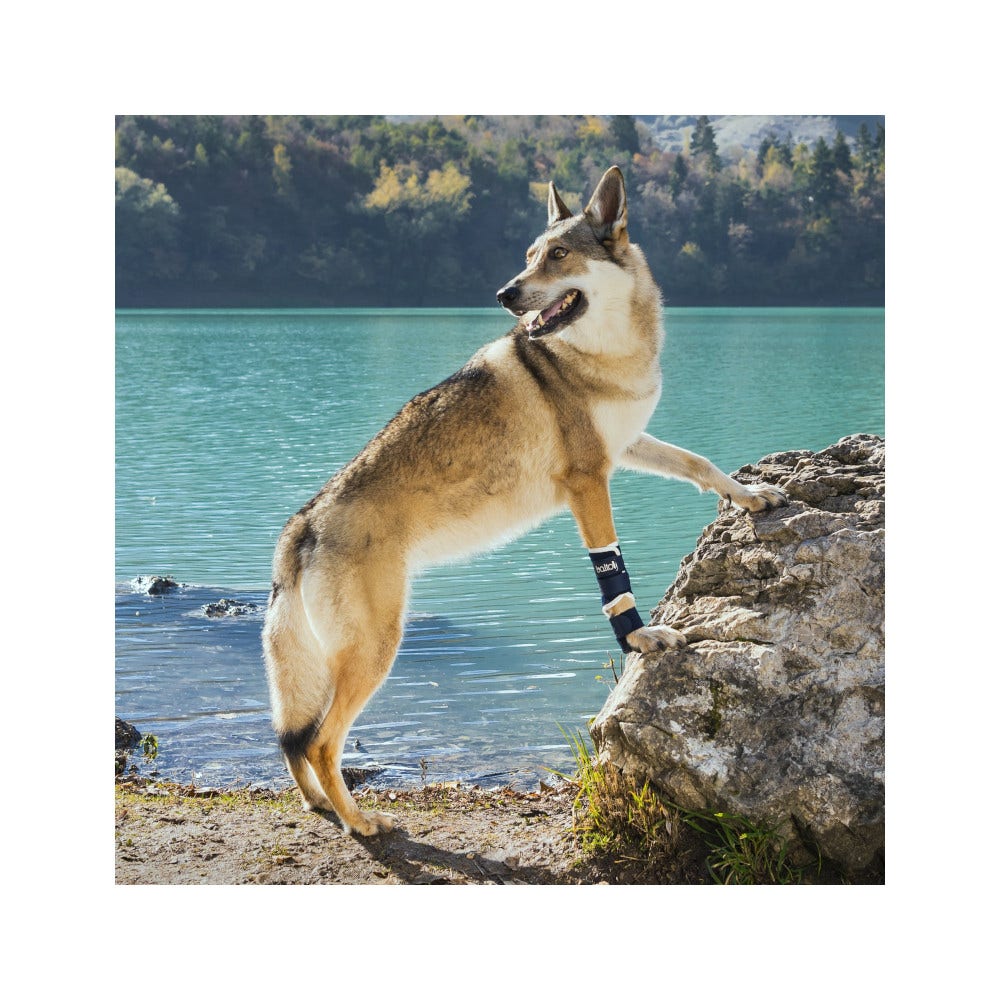 Balto BT Splint Tutore Per Lassità di Carpo o Tarso Taglia XXS-2