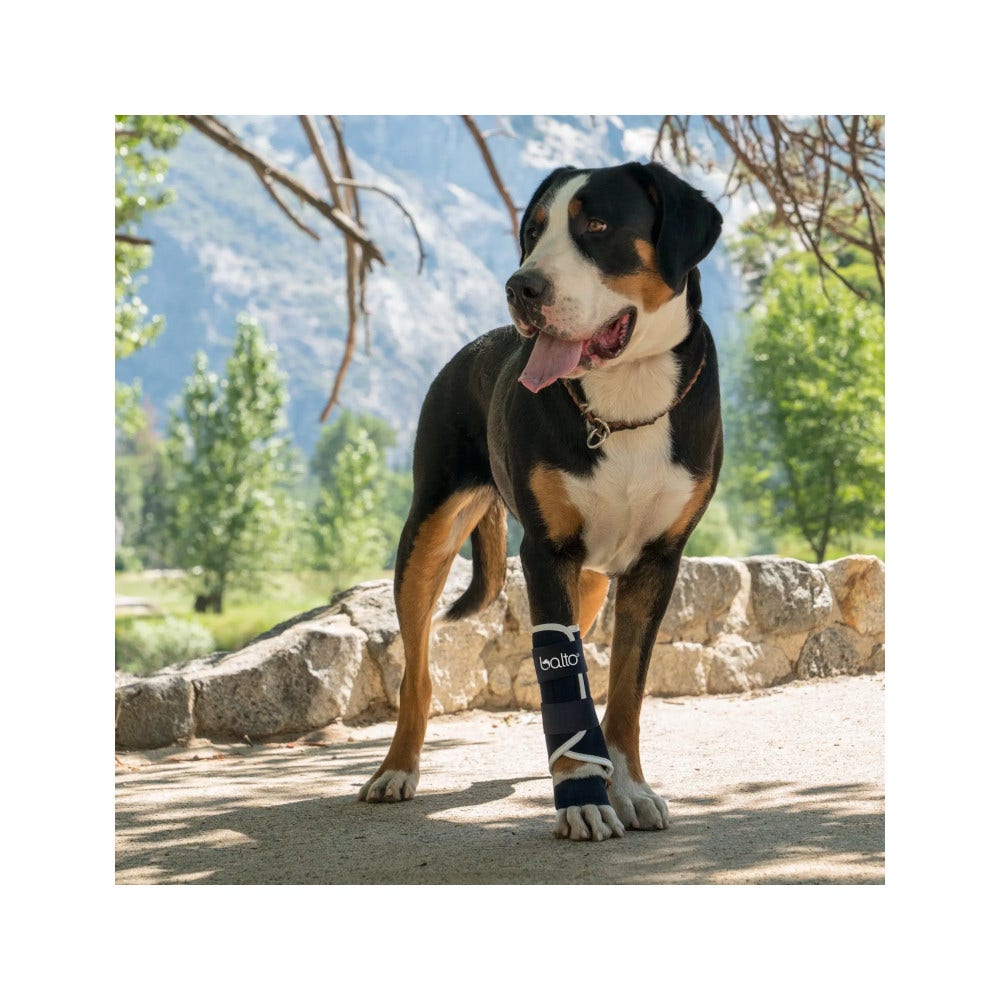 Balto BT Splint Tutore Per Lassità di Carpo o Tarso Taglia S-3