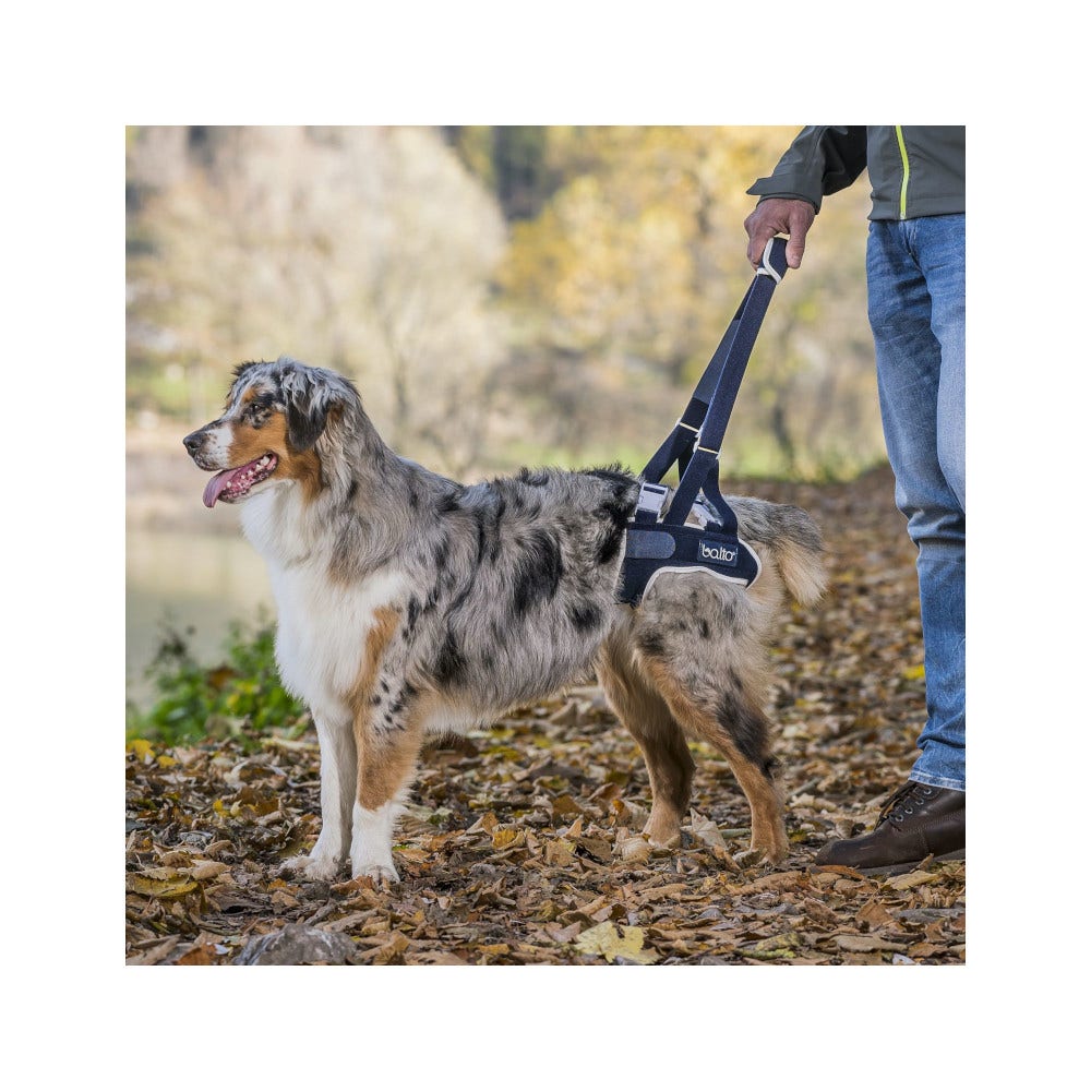 Balto BT Up Sospensore Posteriore Con Maniglia Taglia M-2