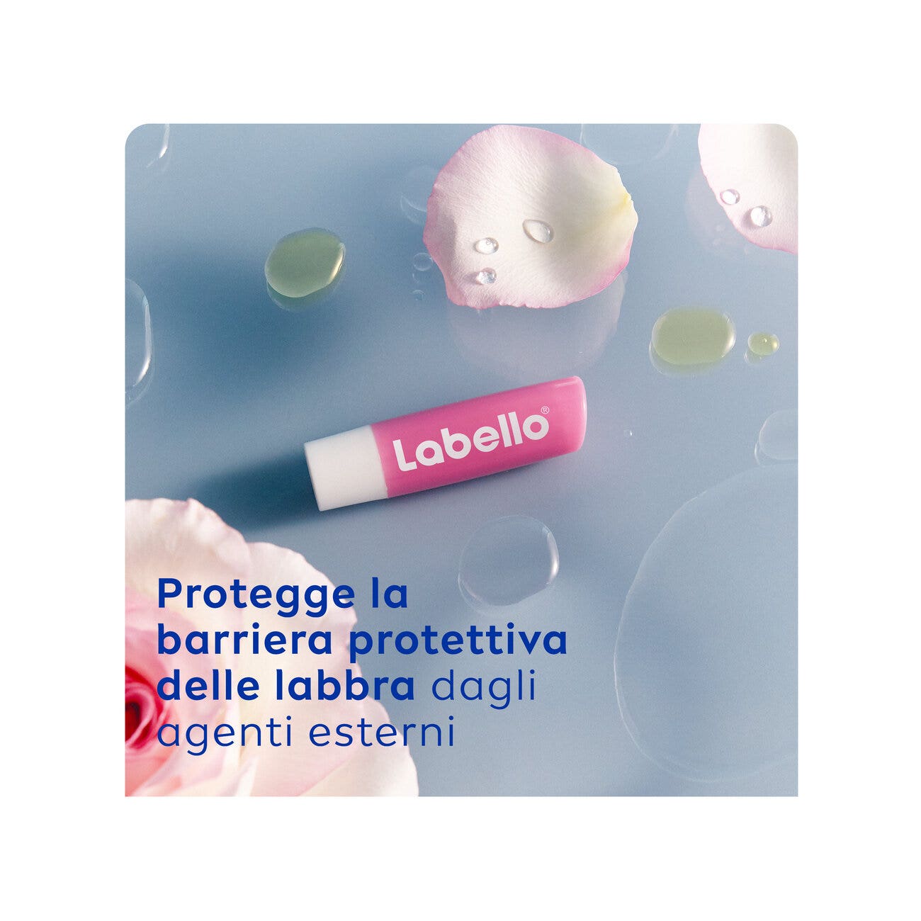Labello Soft Rosé Burrocacao Labbra Colorato E Idratante Con Estratto Di Rosa 4,8g-3