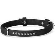 Camon Collare Con Borchiette Nero 15x450mm-3