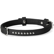 Camon Collare Con Borchiette Per Cani Colore Nero 35x650mm-1