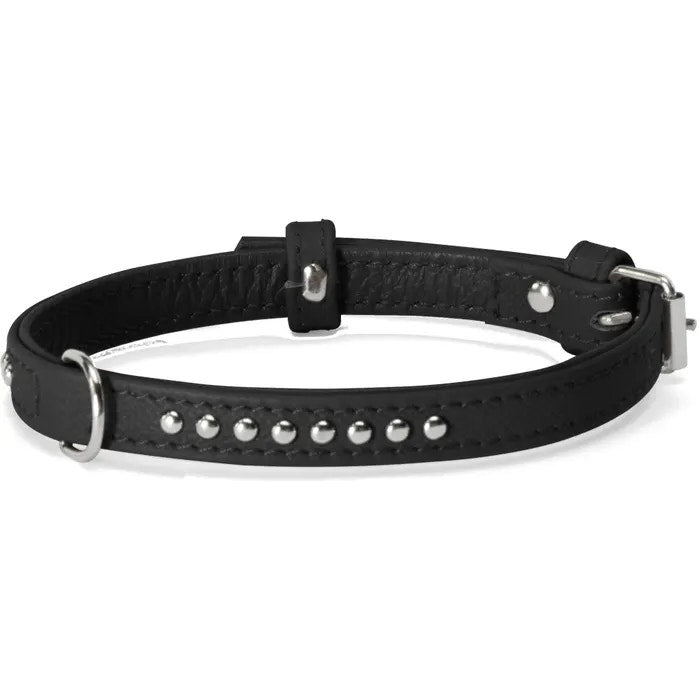 Camon Collare Con Borchiette Per Cani Colore Nero 35x650mm-1