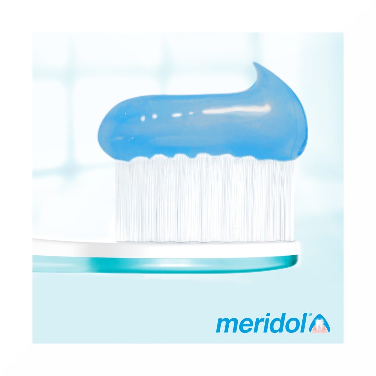 Meridol Dentifricio Protezione Gengive 2x75ml-23