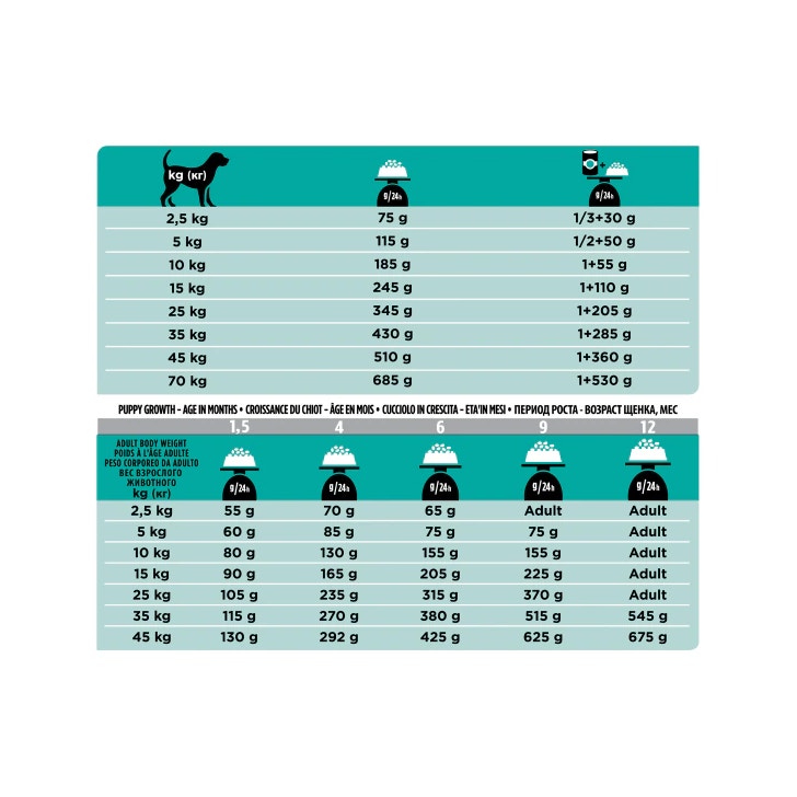 Purina Pro Plan Veterinary Diets Secco Cane EN Gastrointestinal Sacco 5kg-6