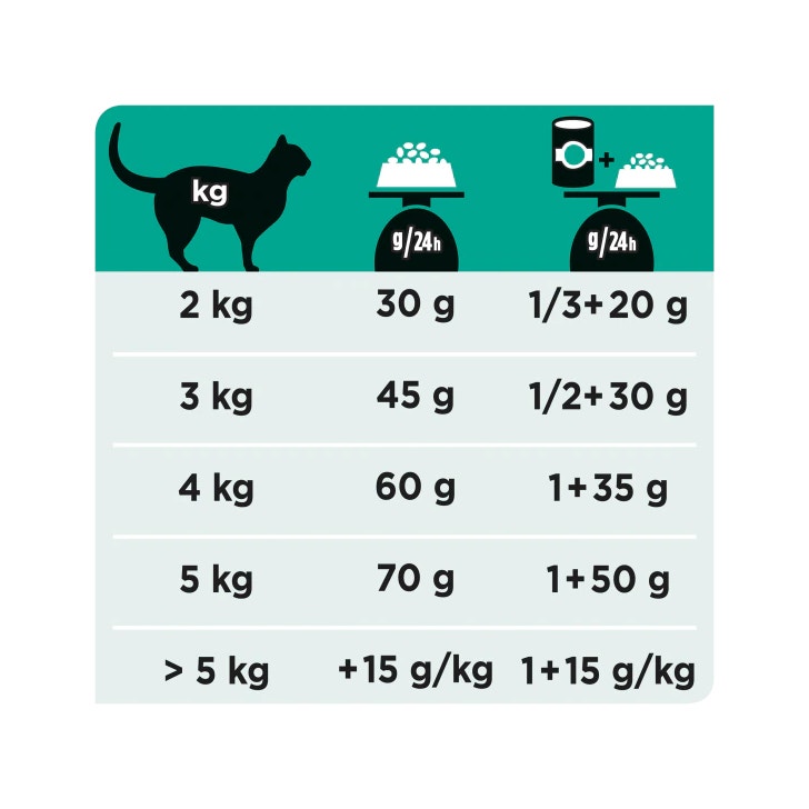 Purina Pro Plan Veterinary Diets Secco Gatto EN Gastrointestinal St/Ox Busta 400g-4