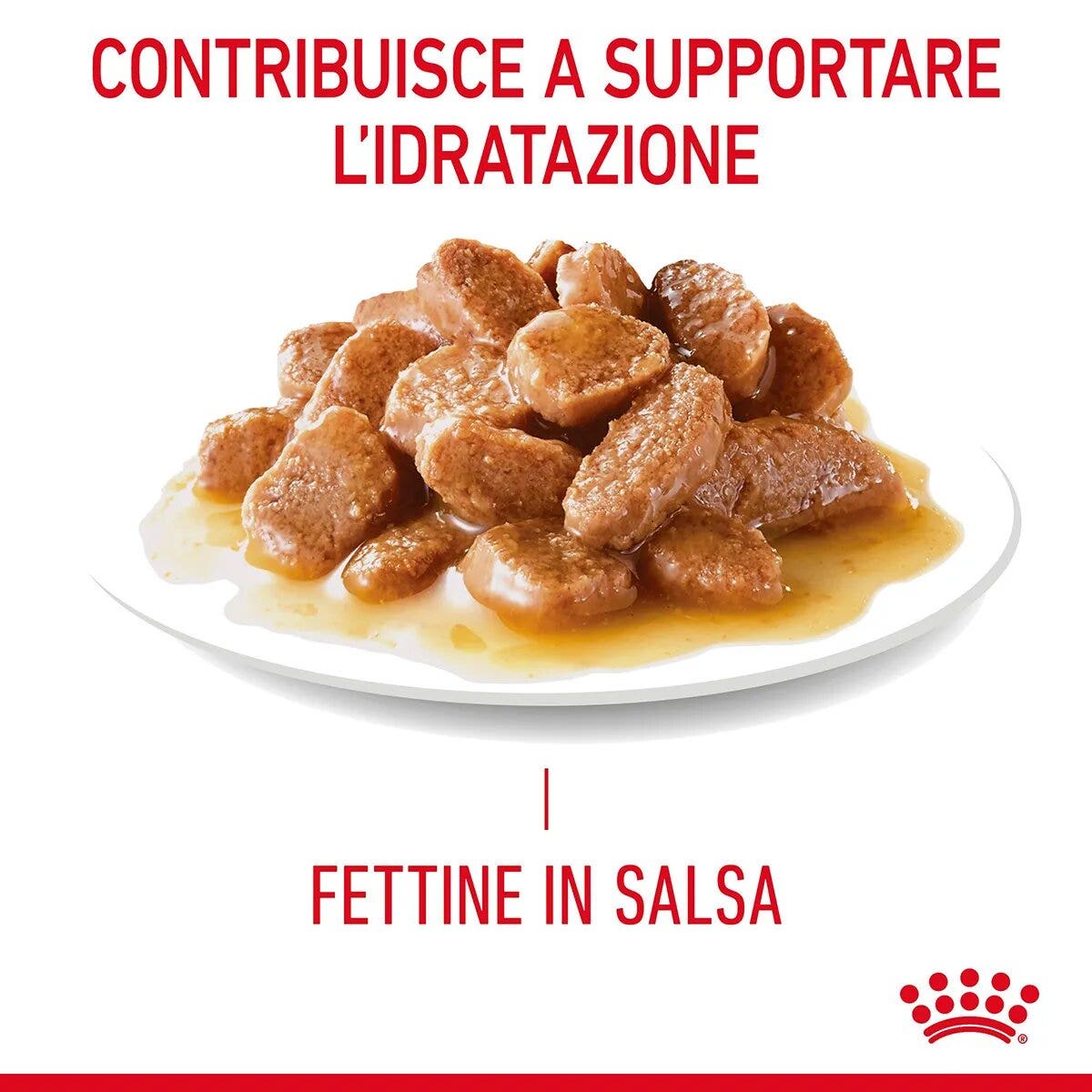 Royal Canin Hair & Skin in Salsa Alimento Umido Per Gatti Adulti Bustina 85g-11
