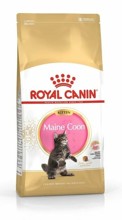 Royal Canin Kitten Maine Coon Crocchette Per Gattini Sacco 2kg-2