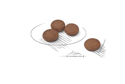 Royal Canin Digestive Care Crocchette Per Cani Mini Sacco 1kg-3