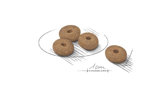 Royal Canin Light Weight Care Crocchette Per Cani Taglia Mini Sacco 1kg-3