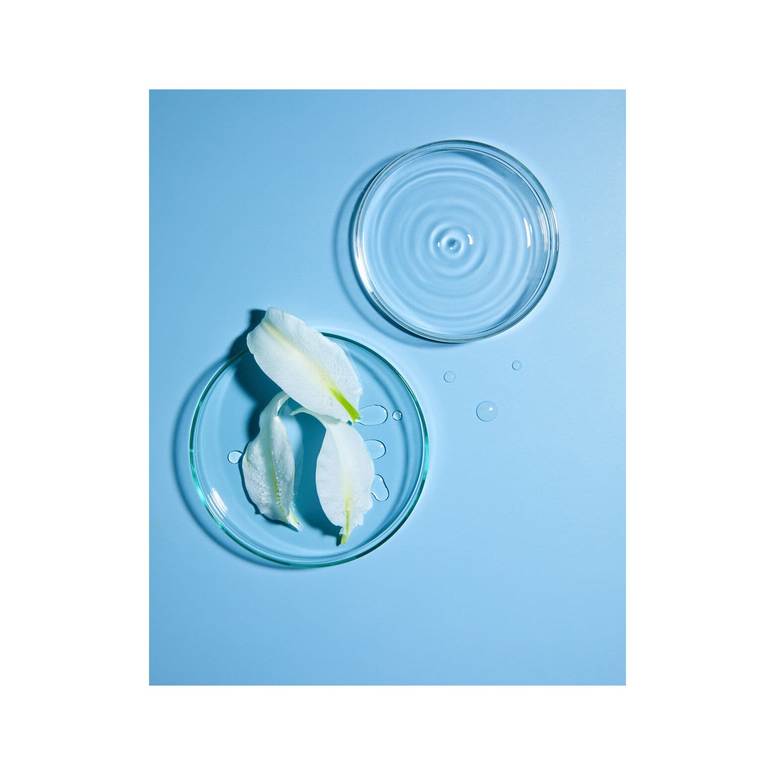 Nivea 2 in 1 Latte + Tonico Rinfrescante 200 ml Latte Detergente Viso E Tonico Idratante-6