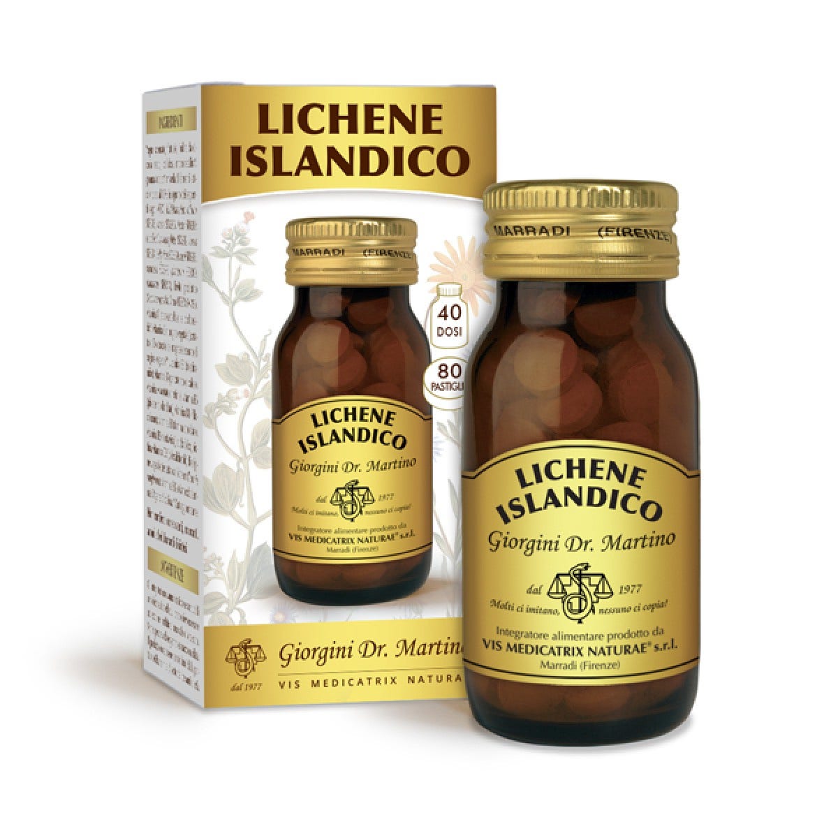 Dr Giorgini Lichene Islandico 80 Pastiglie -1
