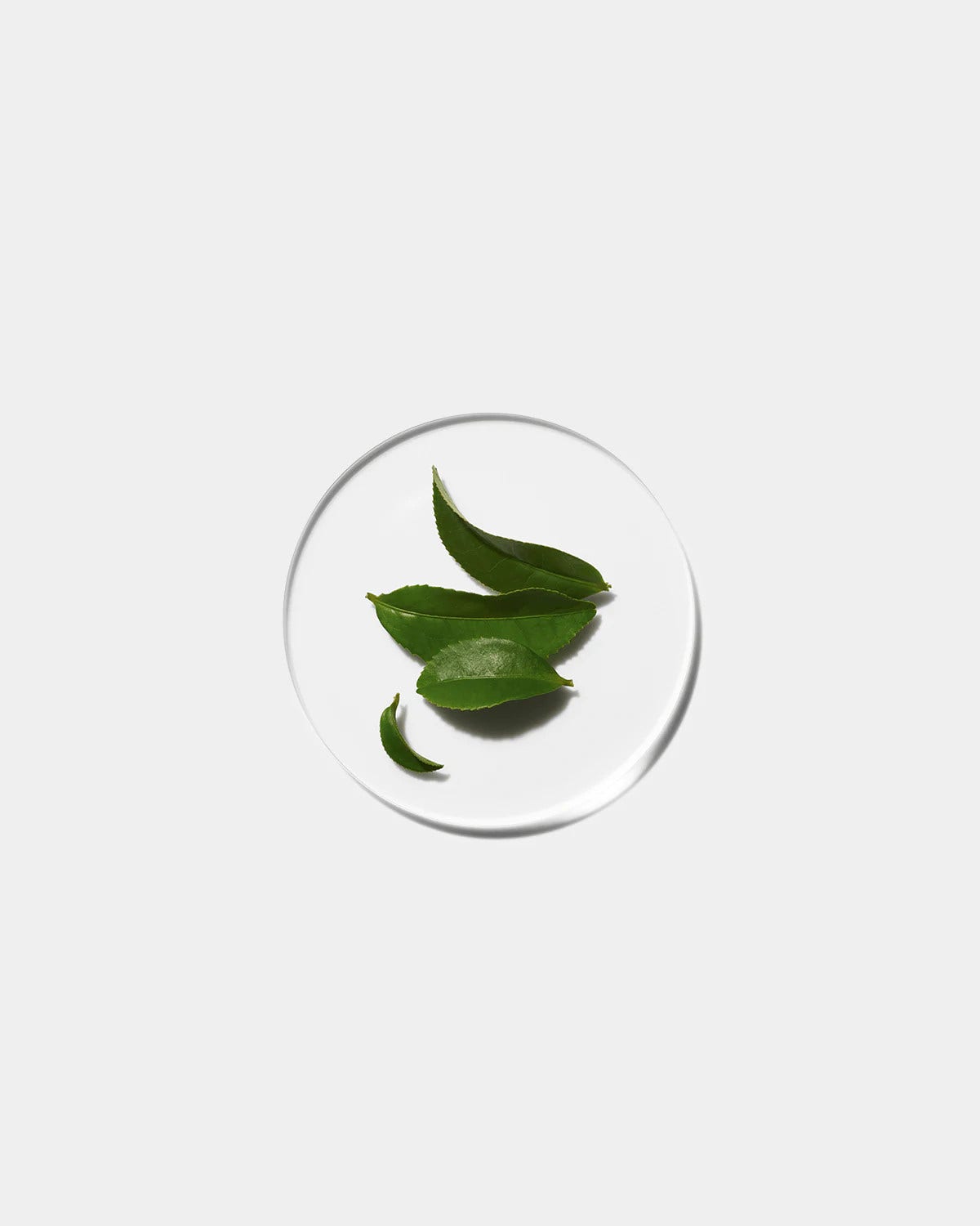 Clinique Even Better Clinical Siero Illuminante 50ml  - 5