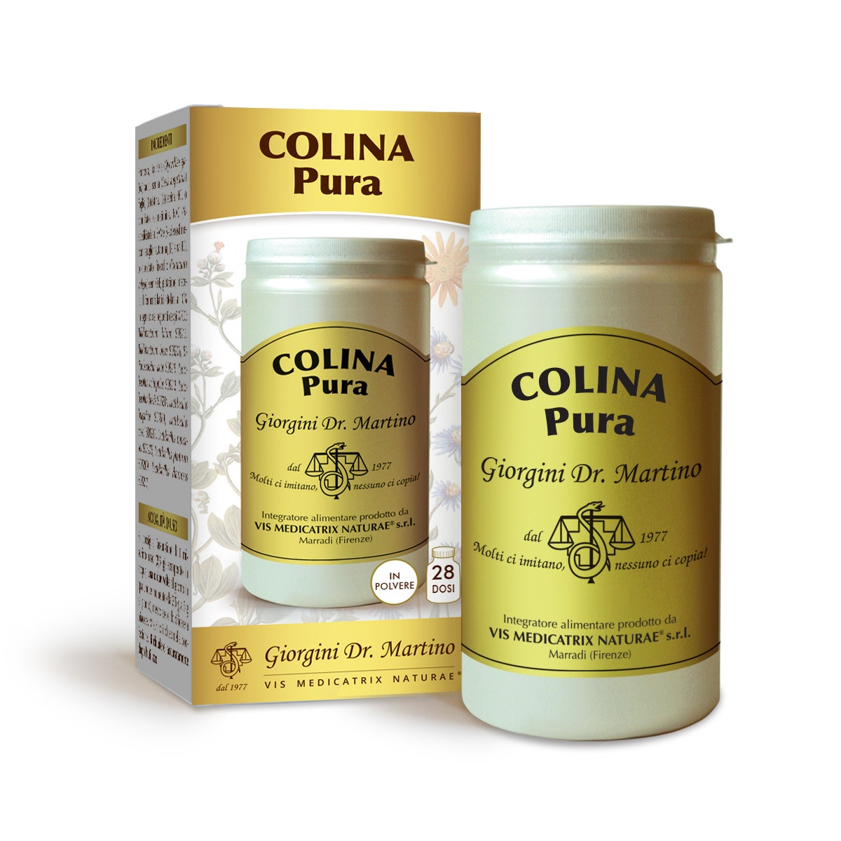 Dr.Giorgini Colina Puro Polvere Solubile 100g-2